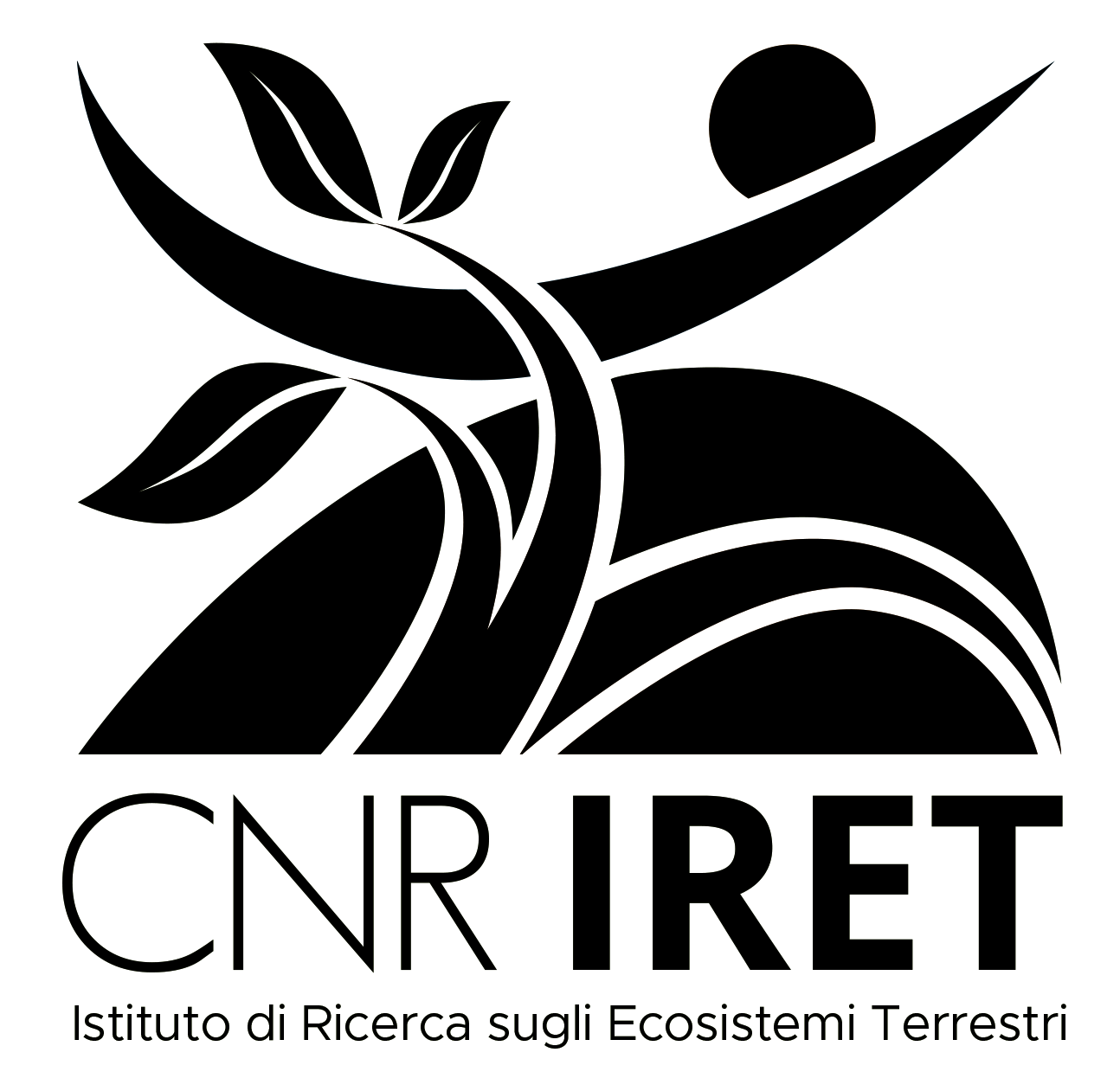 Logo of CNR-Iret